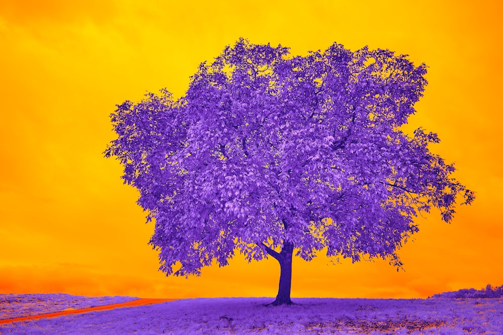 green tree on brown sand during daytime