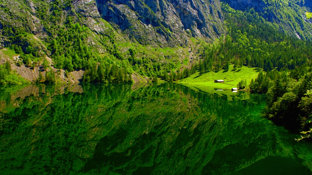 green grass field and mountain