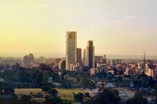 city skyline under white sky during daytime