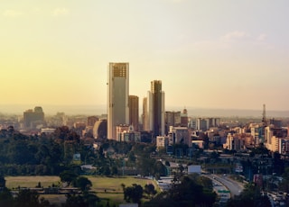 city skyline under white sky during daytime