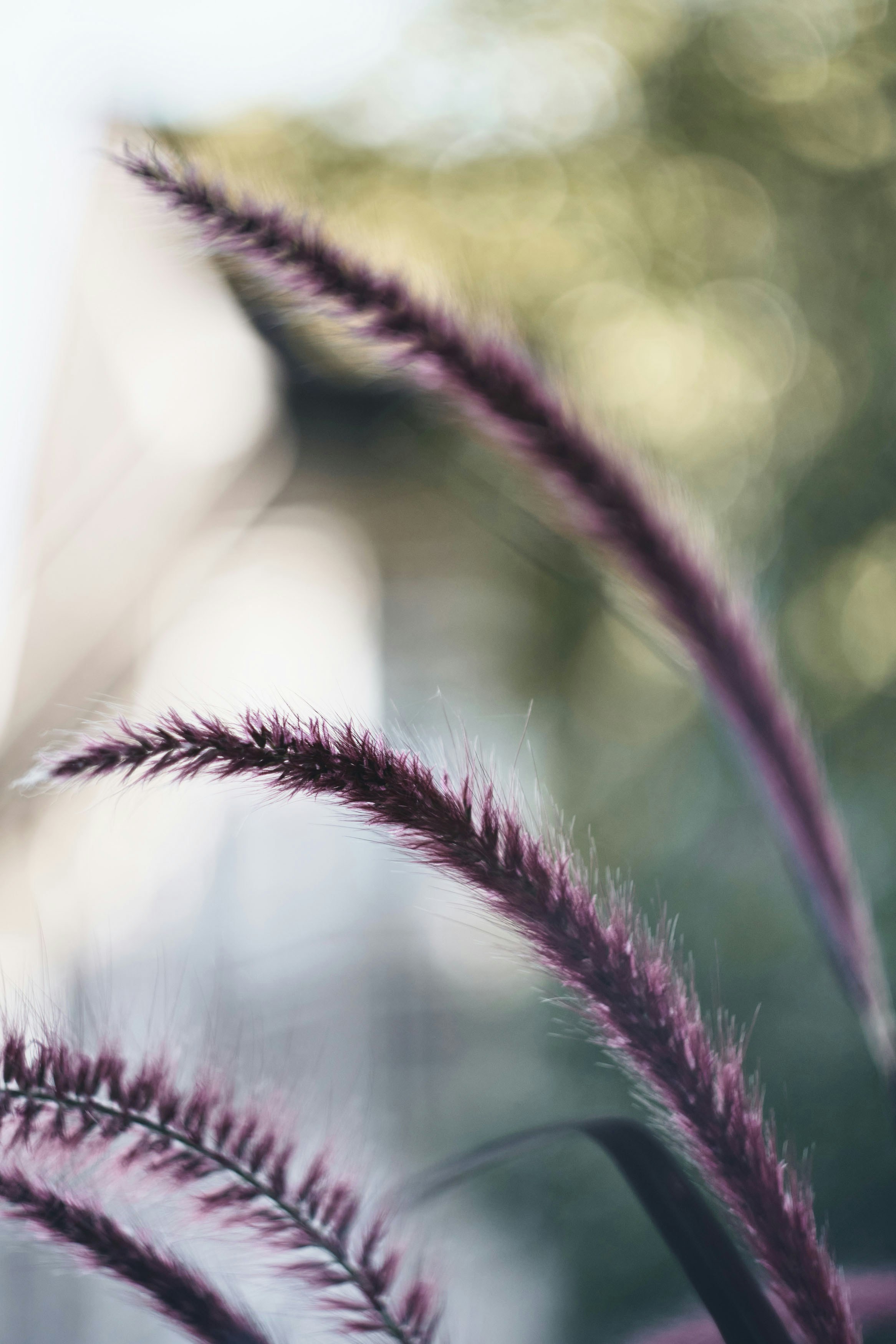 Photo by marcus_ganahl