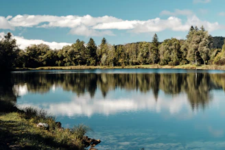 blue lake surrounded by green trees under blue sky during daytime