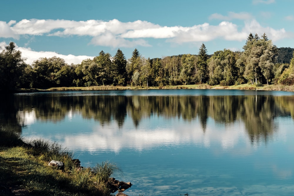 blue lake surrounded by green trees under blue sky during daytime