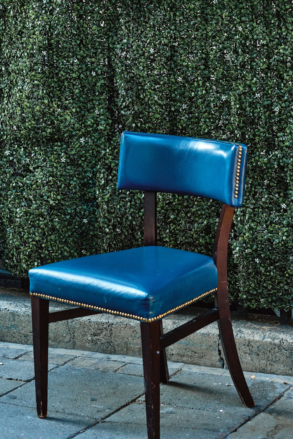 blue leather padded chair beside green plant