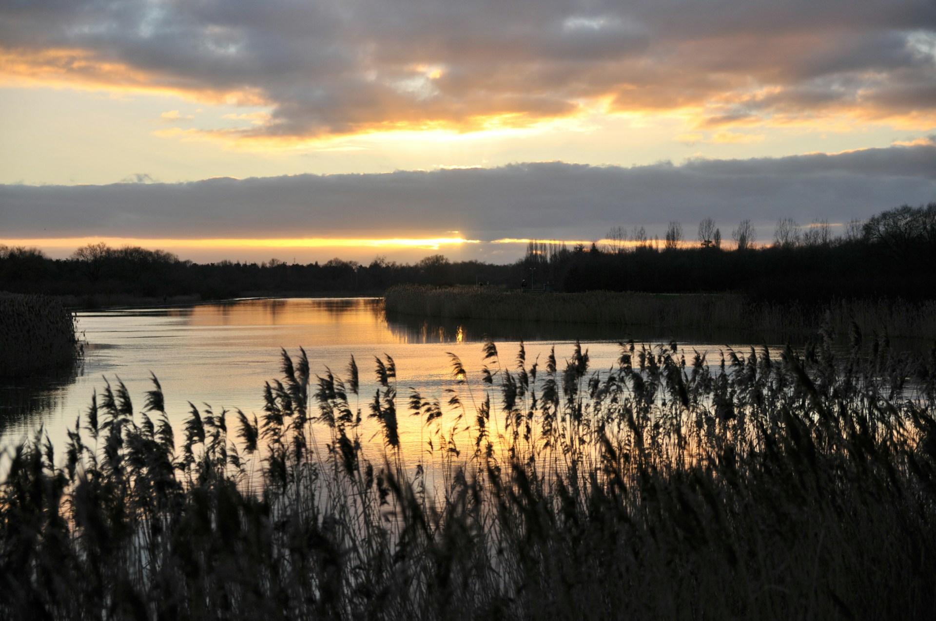 A serene landscape shot at golden hour, highlighting soft natural light over rolling hills and a calm river.