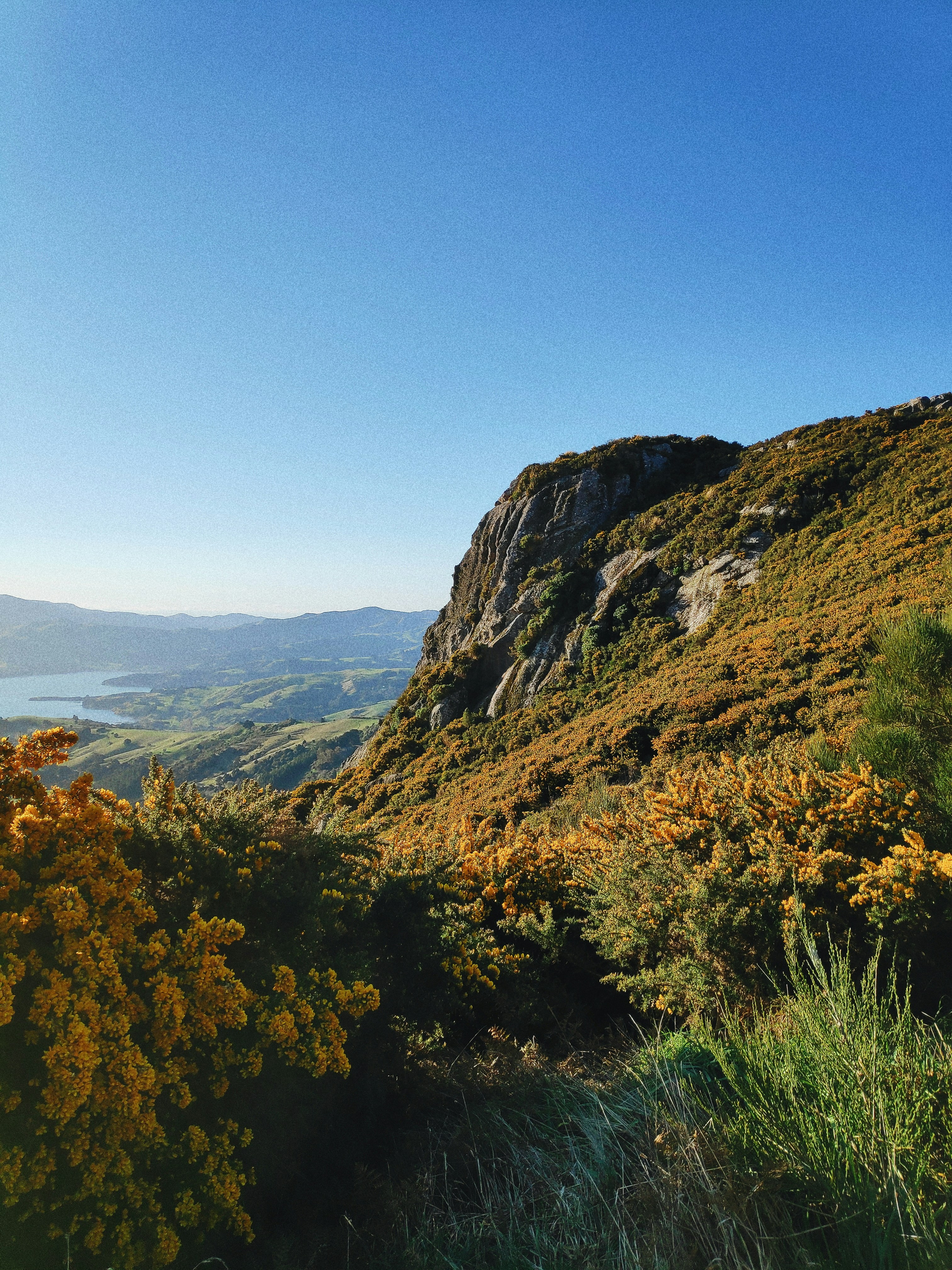 green and brown mountain under blue sky during daytime