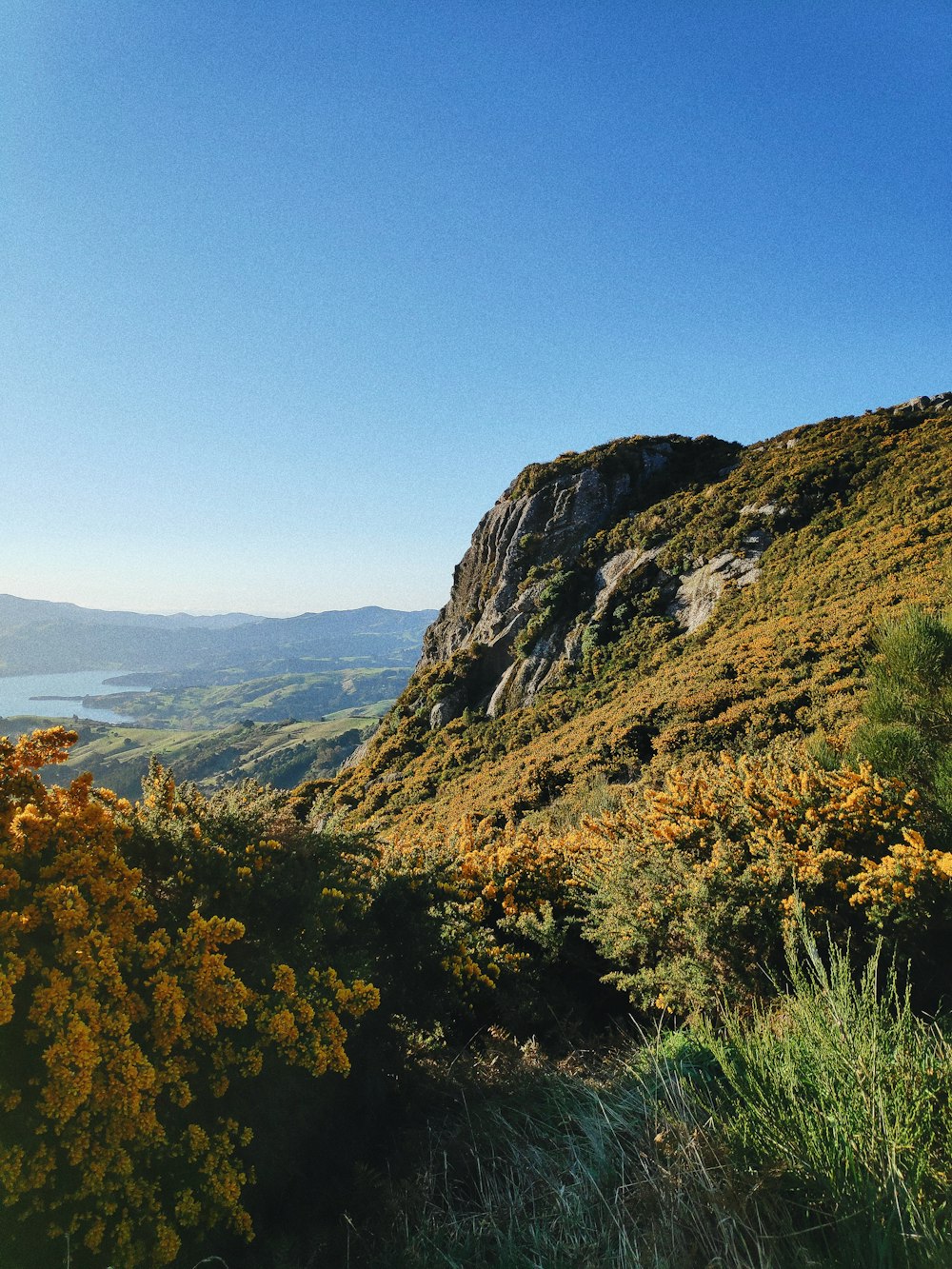 green and brown mountain under blue sky during daytime