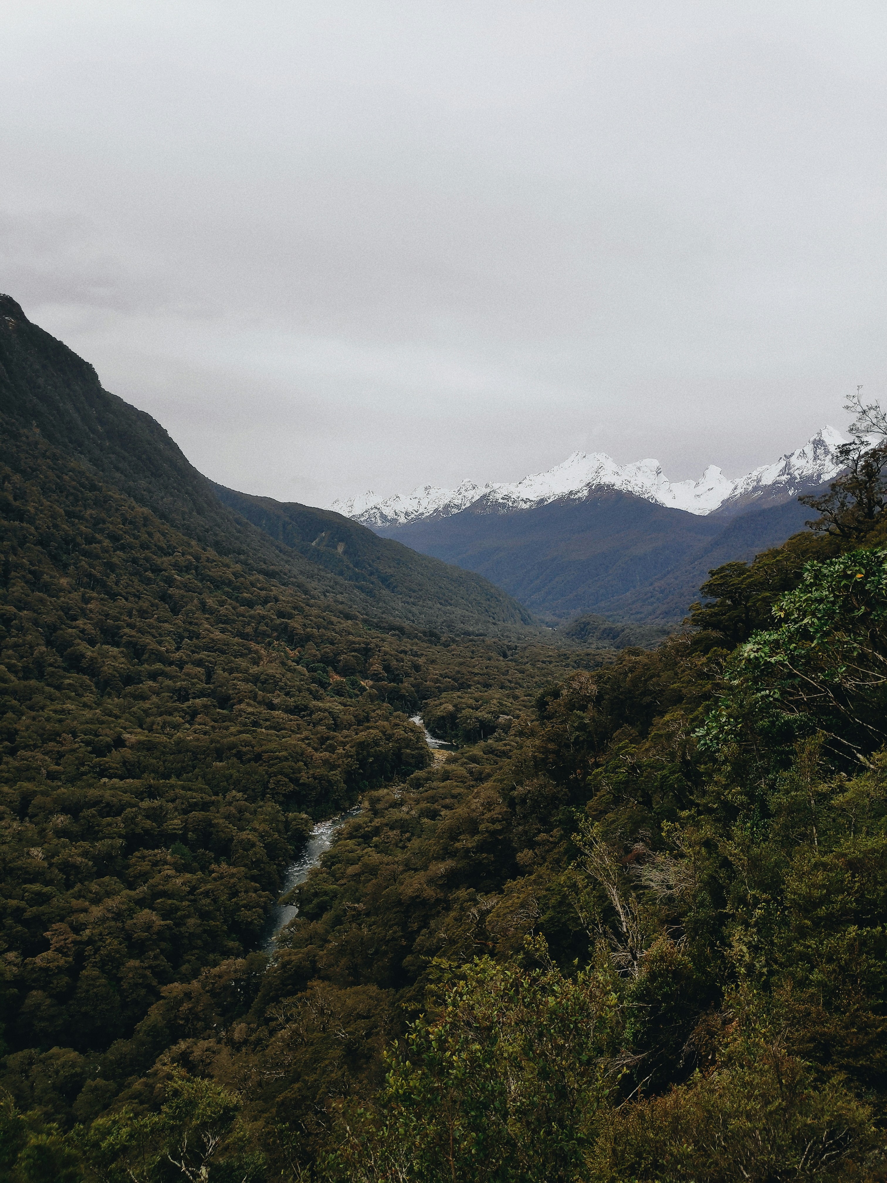 Photo by yulia_gadalina