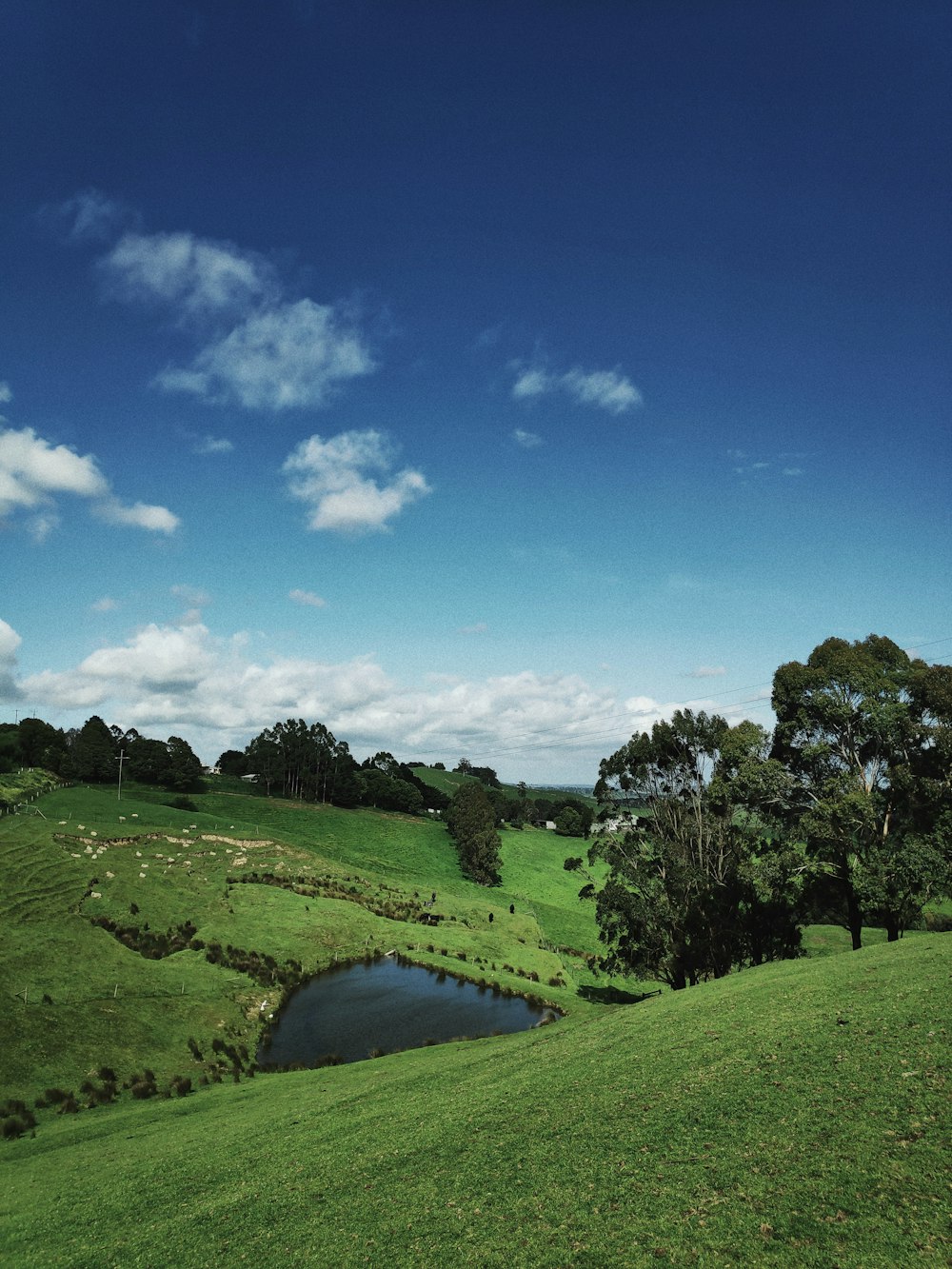 green grass field under blue sky during daytime