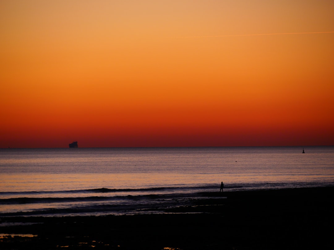 silhouette of person standing on beach during sunset