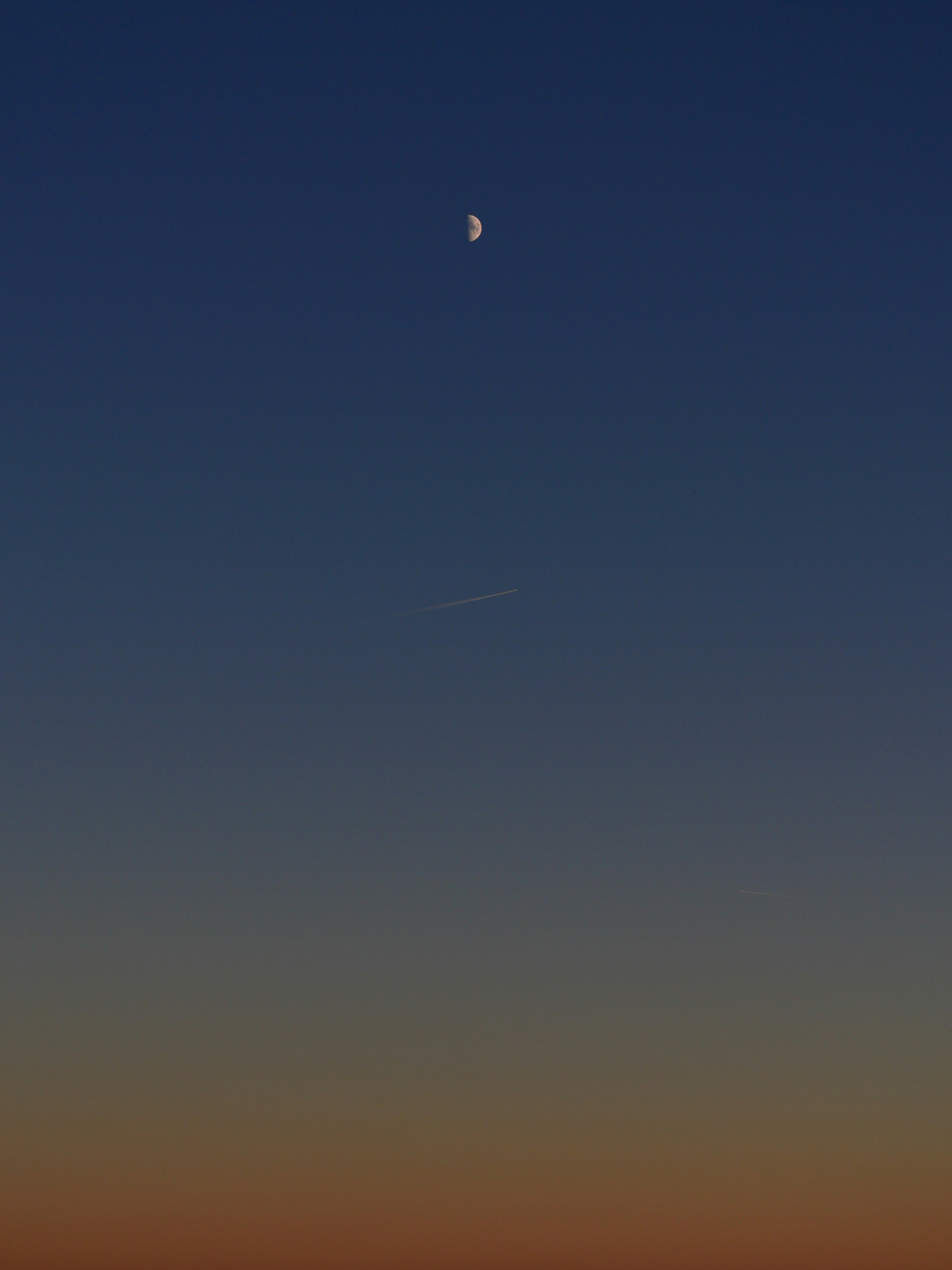 Photo by nimbus_vulpis