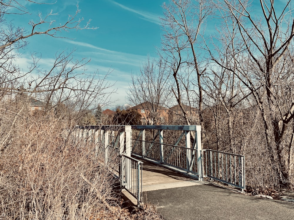 white wooden fence near bare trees under blue sky during daytime