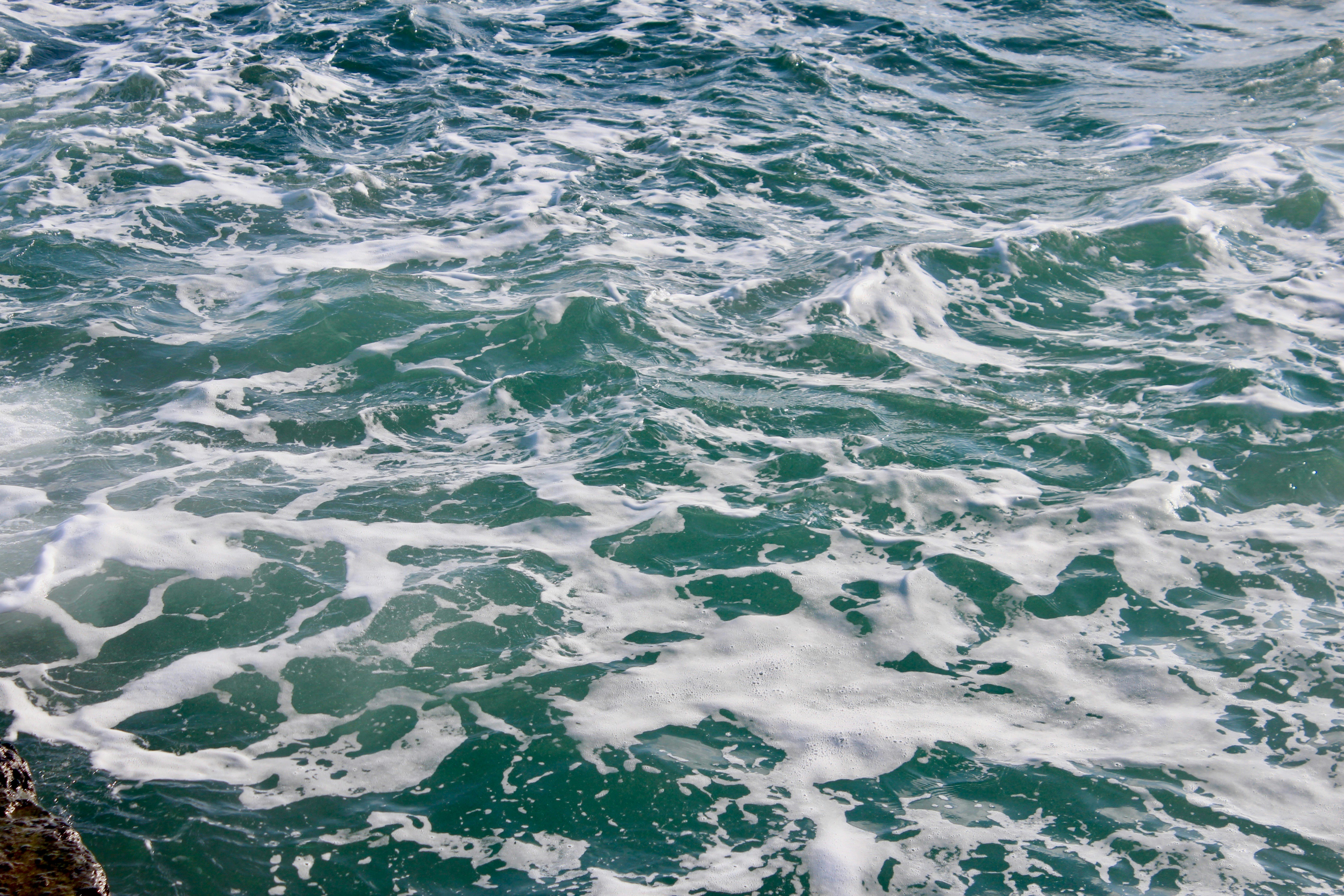 Photo by andrew_krohmalyuk