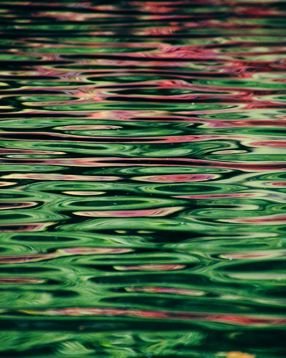 água verde e rosa durante o dia