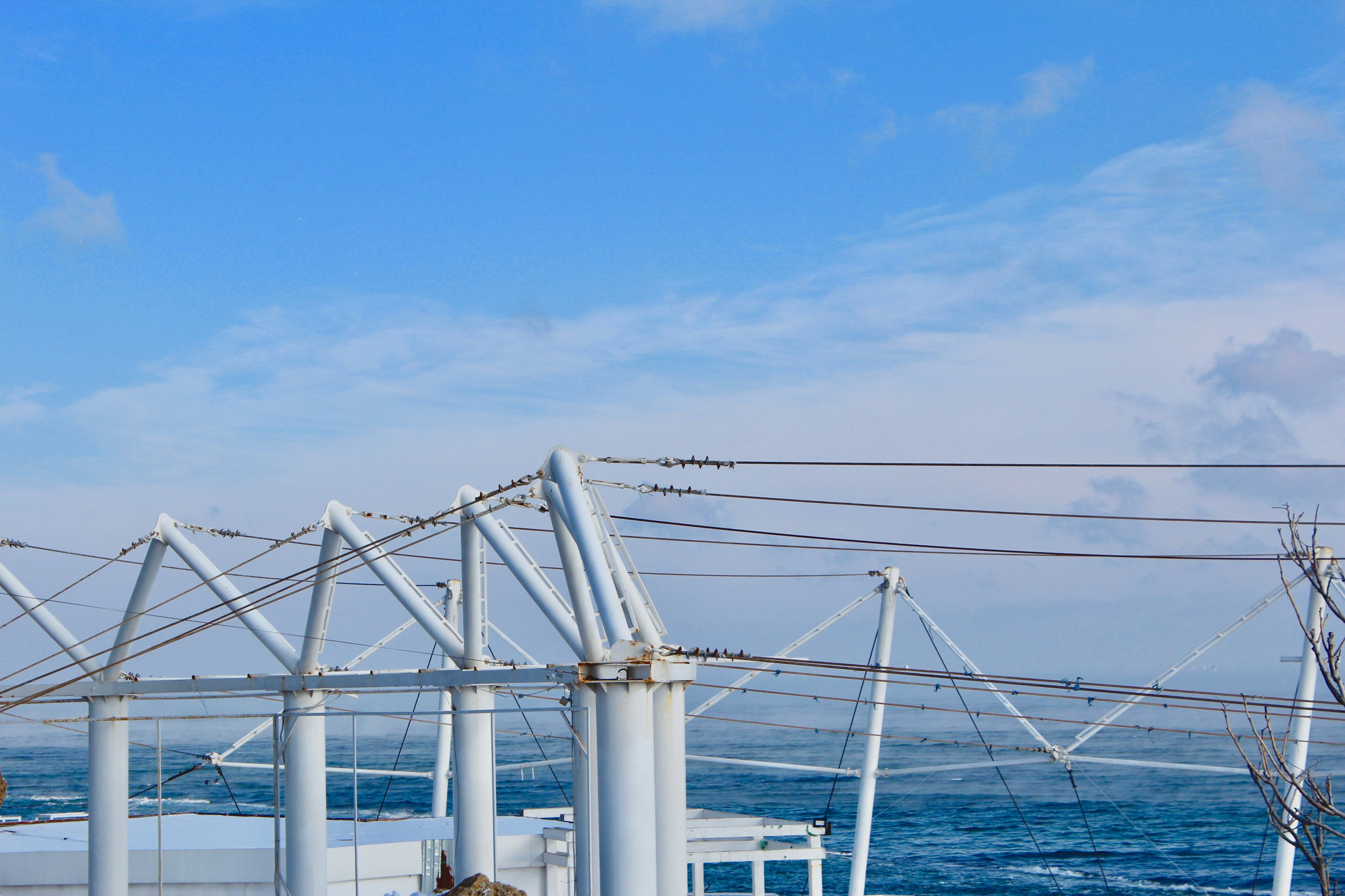 Photo by andrew_krohmalyuk