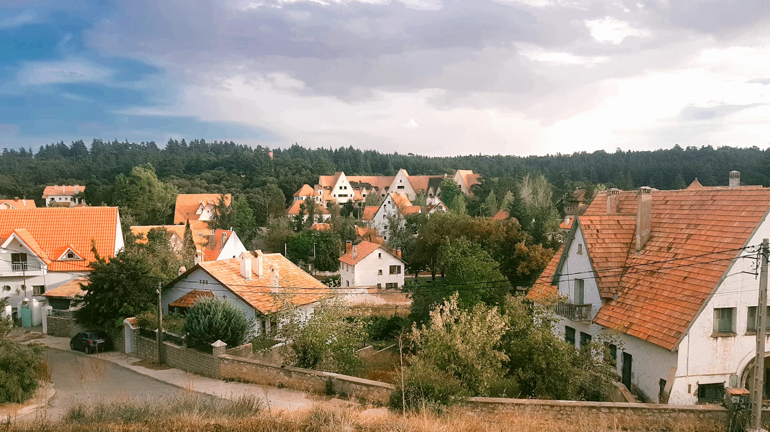 Alpine chalets with red roofs and pine forest in Ifrane