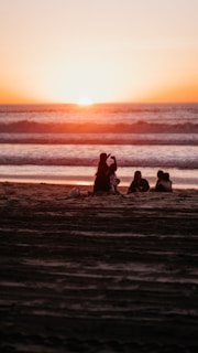 A group of friends enjoying a sunset on a beach.