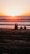 A group of travelers enjoying a sunset at a beach in Bali.