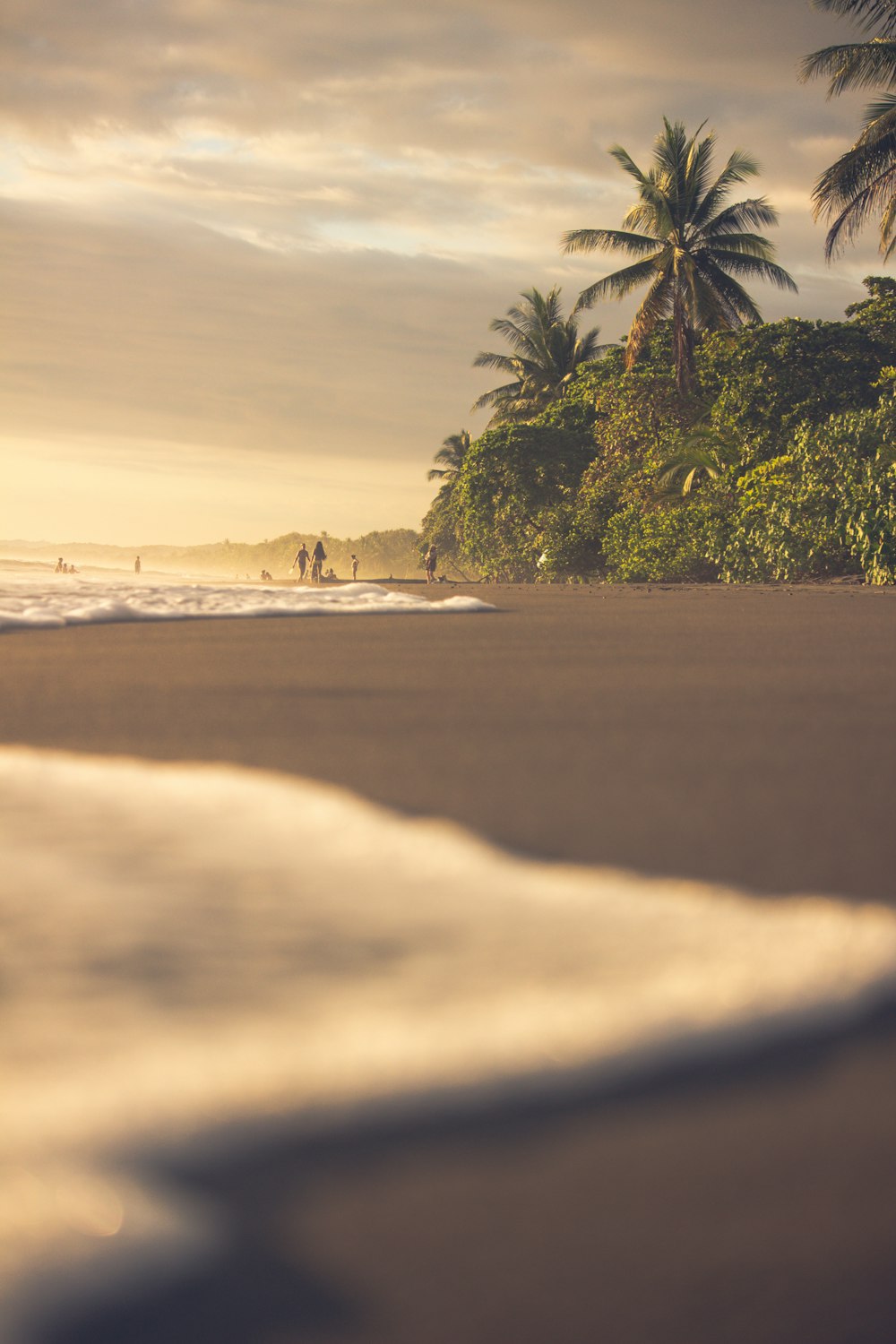 pessoas na praia durante o dia