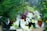 A collection of floral arrangements featuring white, red, and purple flowers mixed with greenery, including long pine needles. The bouquets are wrapped in clear plastic, highlighting the vibrant colors and diverse textures of the blooms.