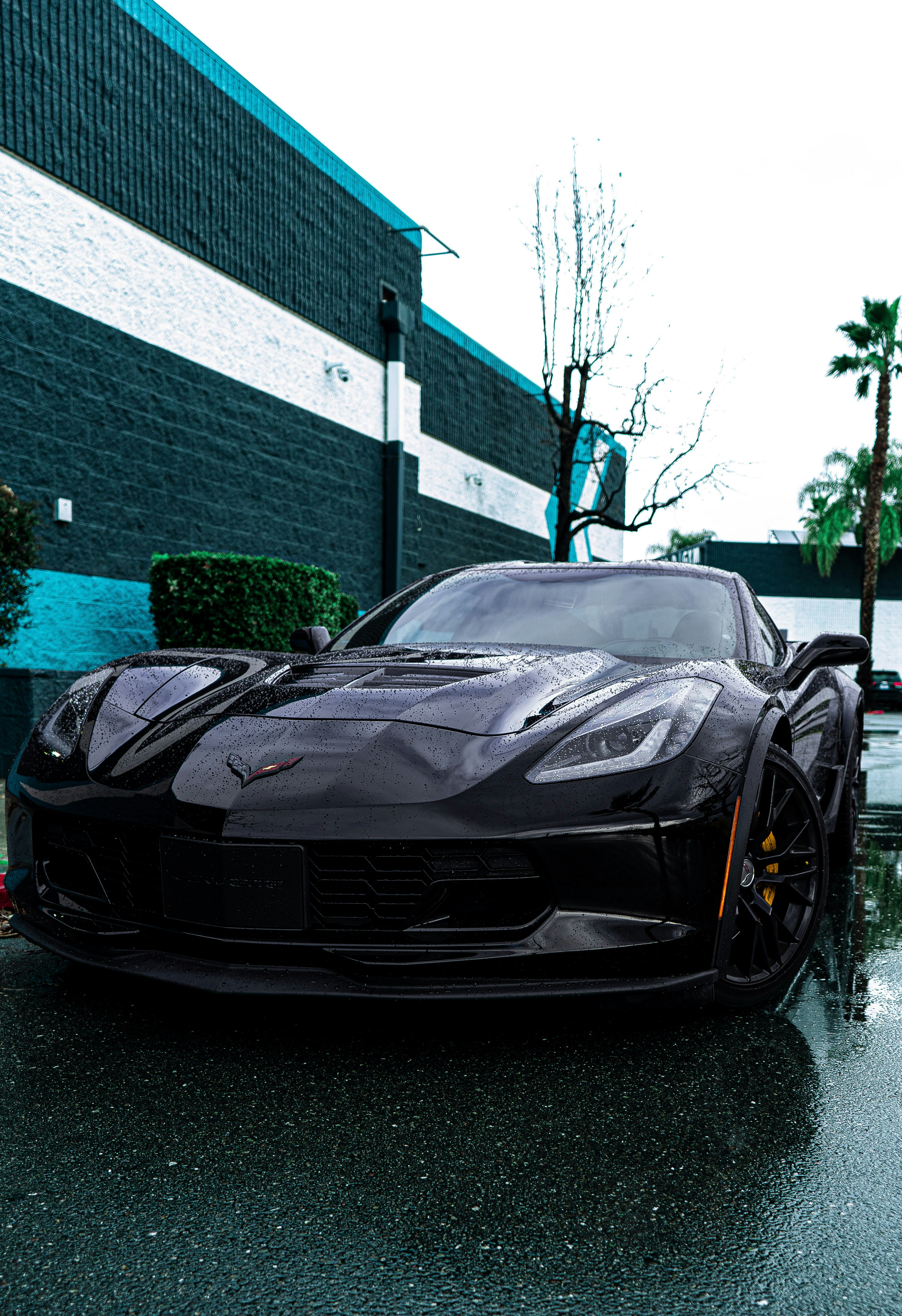 Imágenes de Chevrolet Corvette | Descarga imágenes gratuitas en Unsplash, image size:3000x4379