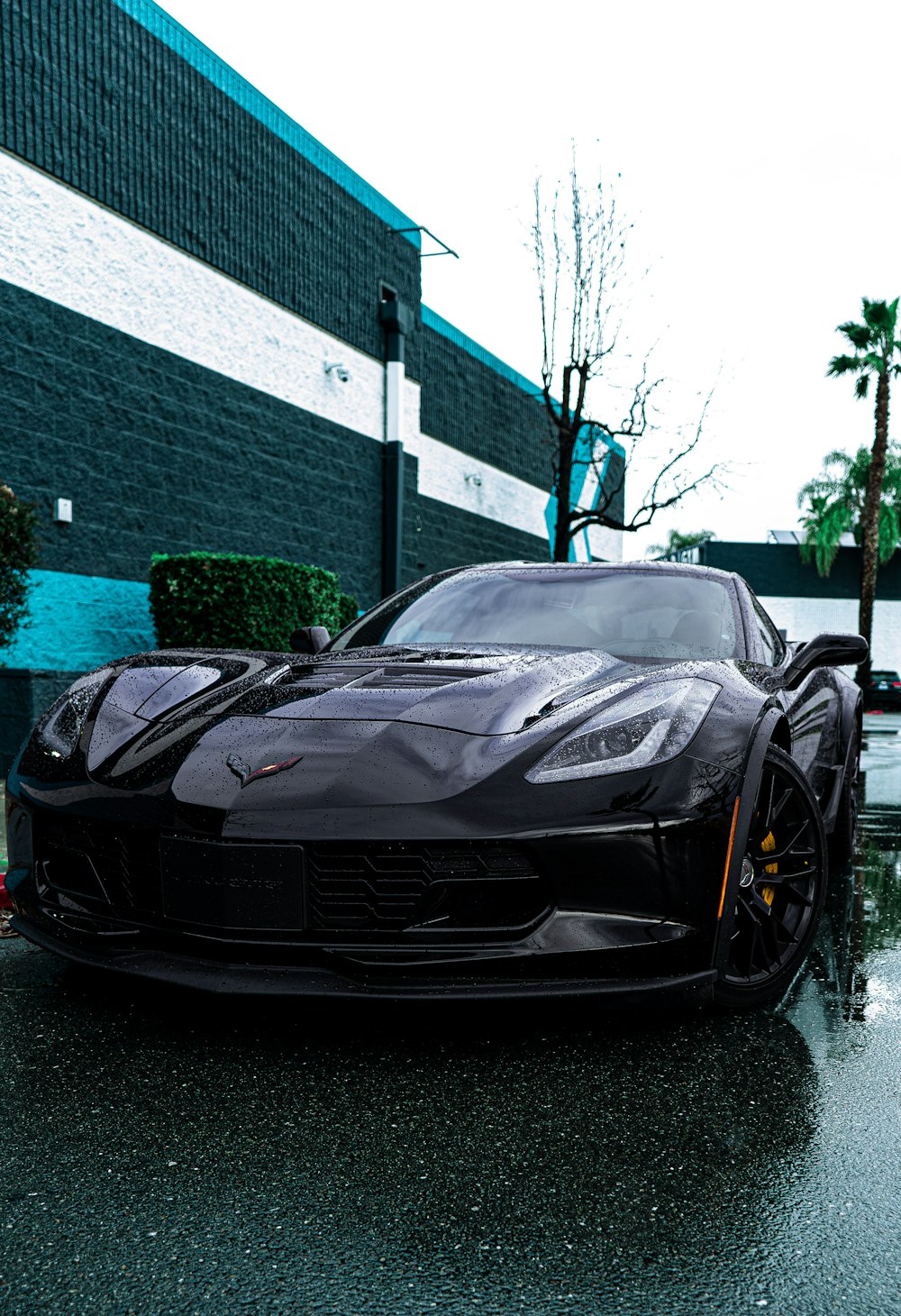 black porsche 911 parked on street during daytime