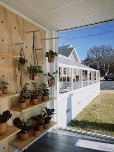 Petite Macrame Plant Hanger
