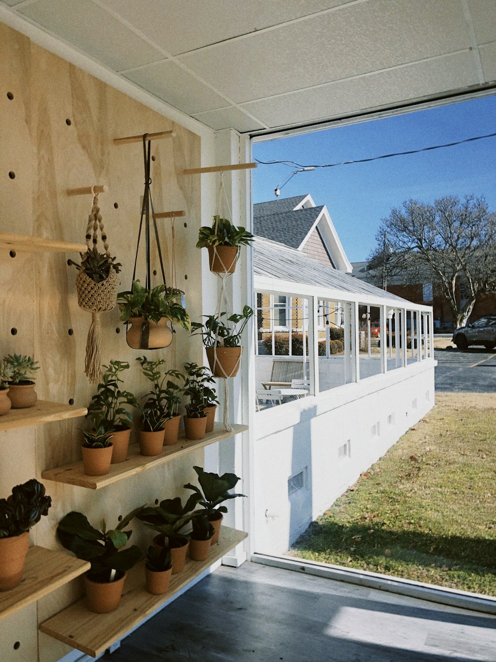 green plants on white wooden fence