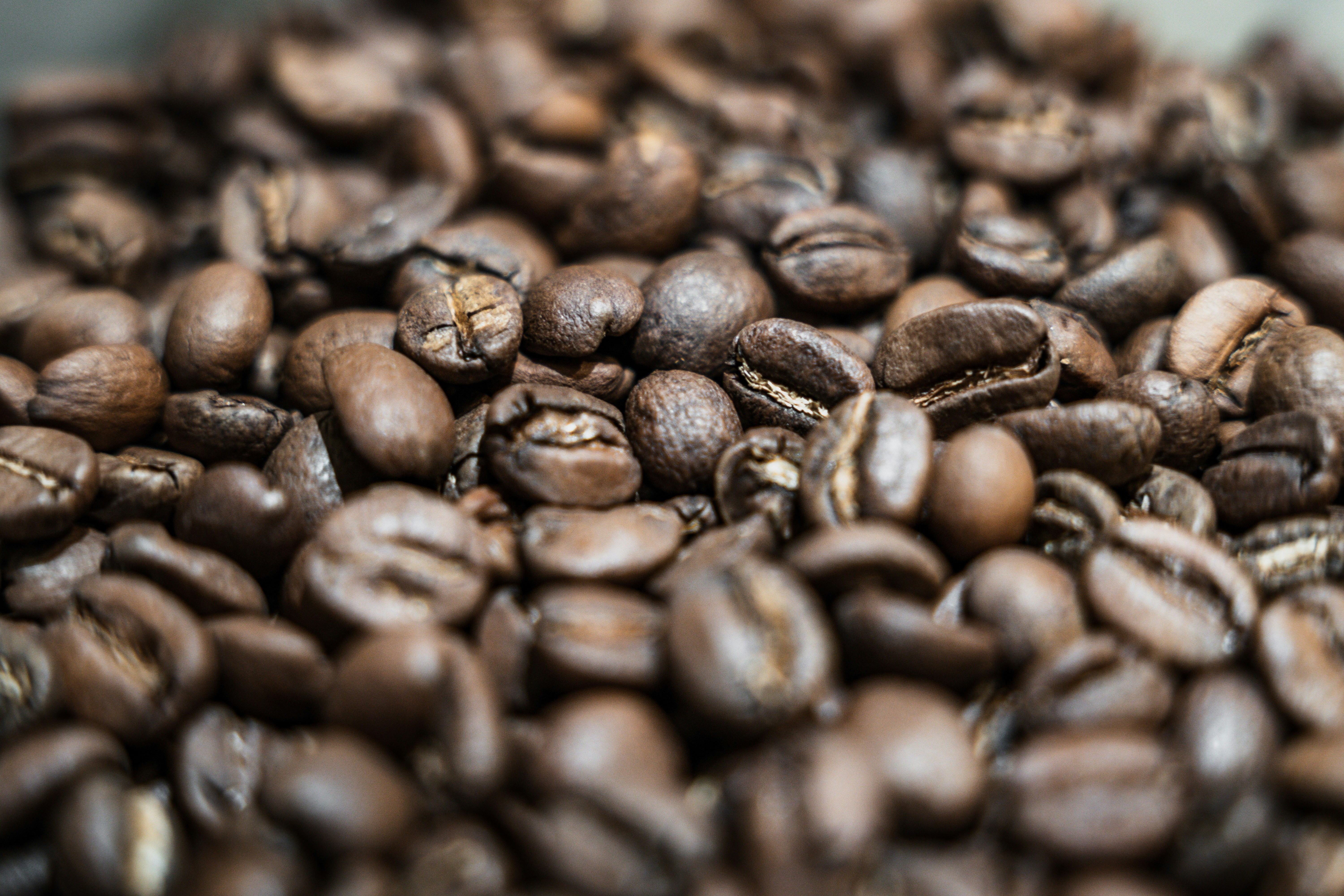 Photo by sandbarproductions