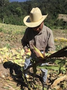 A farmer standing proudly in a vast field with a red MAGA hat.