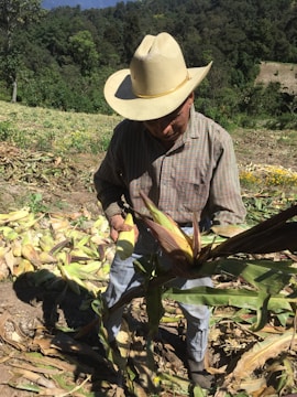 A farmer standing proudly in a vast field with a red MAGA hat.