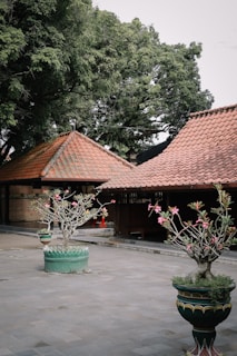 A peaceful garden courtyard surrounded by red and green themed residential buildings.