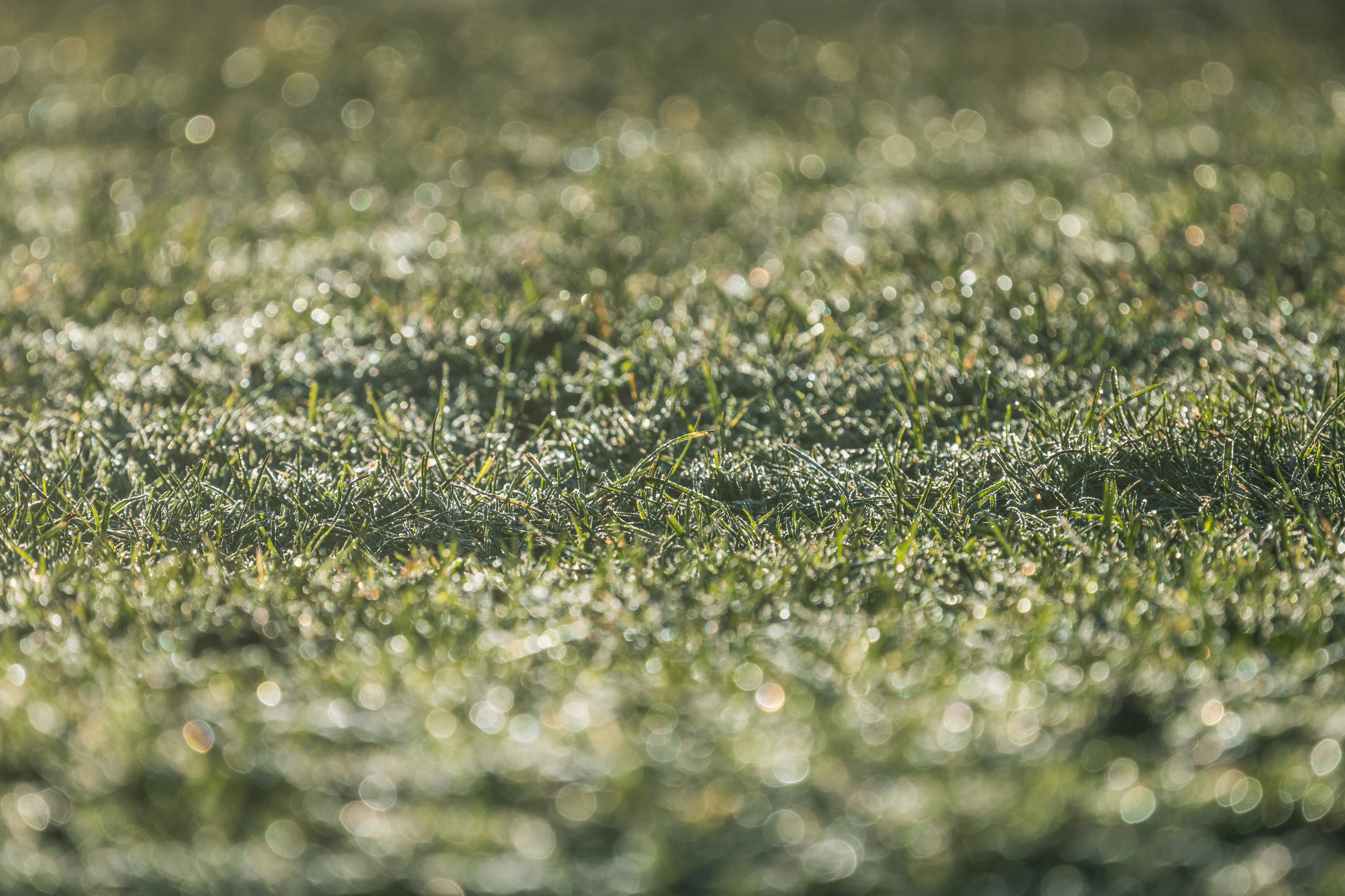 Photo by grievek1610begur