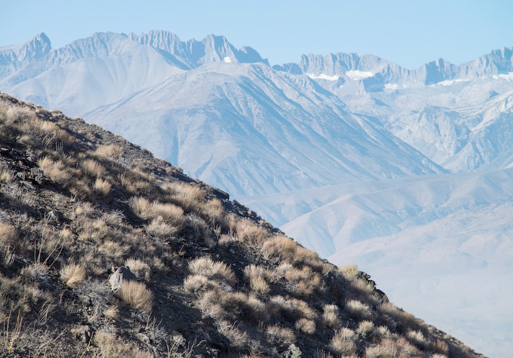 snow covered mountain during daytime