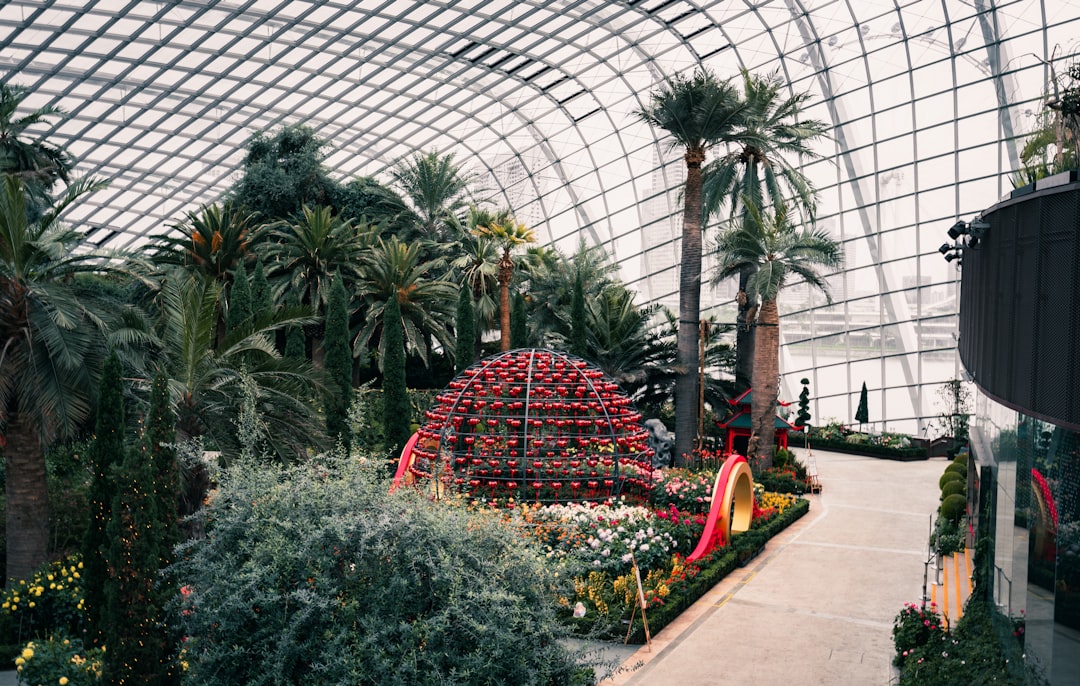 green palm trees inside greenhouse