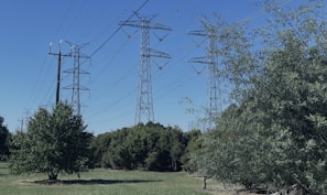 Multiple large electrical transmission towers rise above a green landscape. Tall metal structures stretch across a clear blue sky, with power lines connecting them. Surrounding the towers are various types of trees and bushes, creating a contrast between nature and industrial infrastructure.