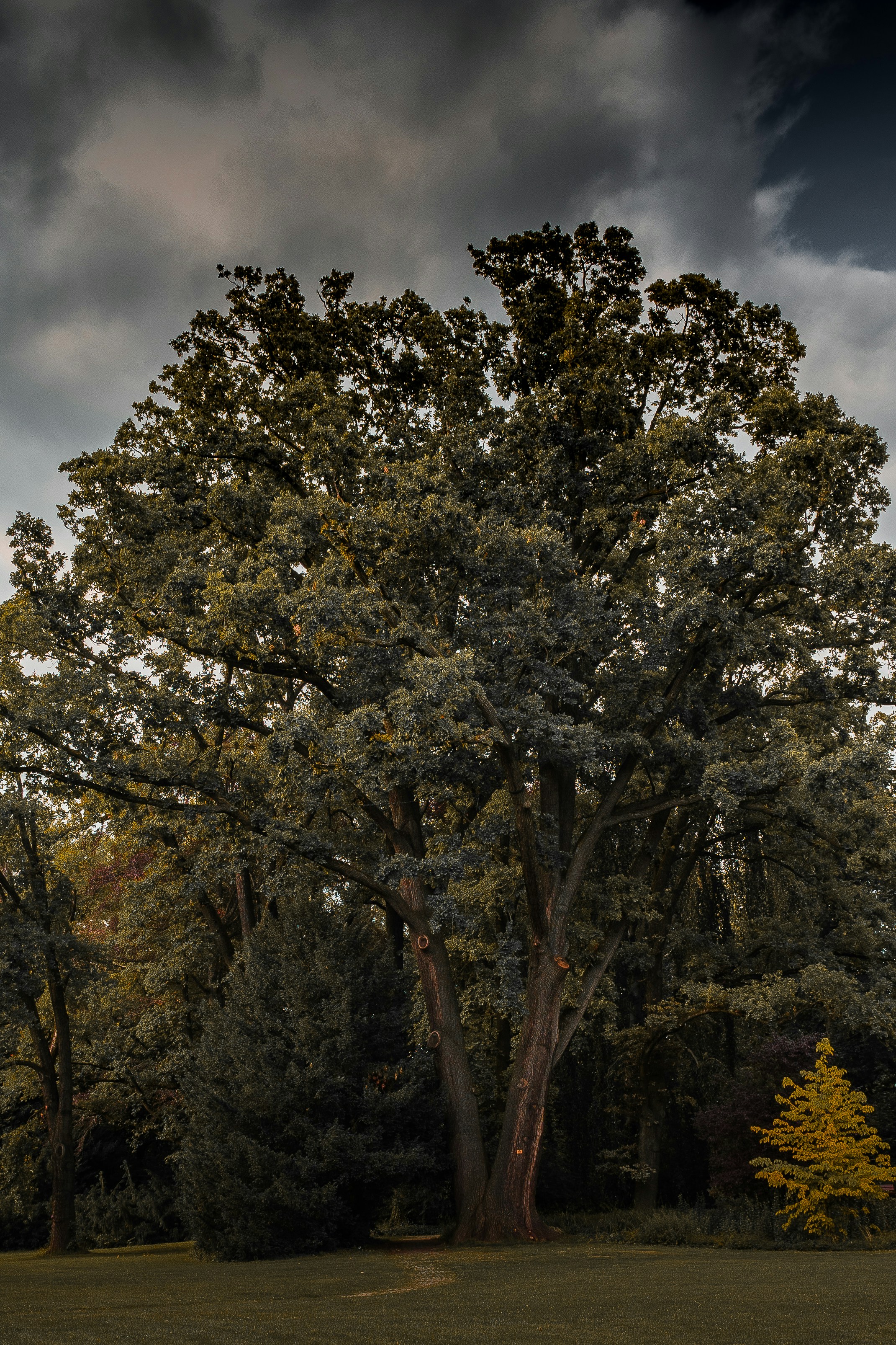 Photo by antesamarzija