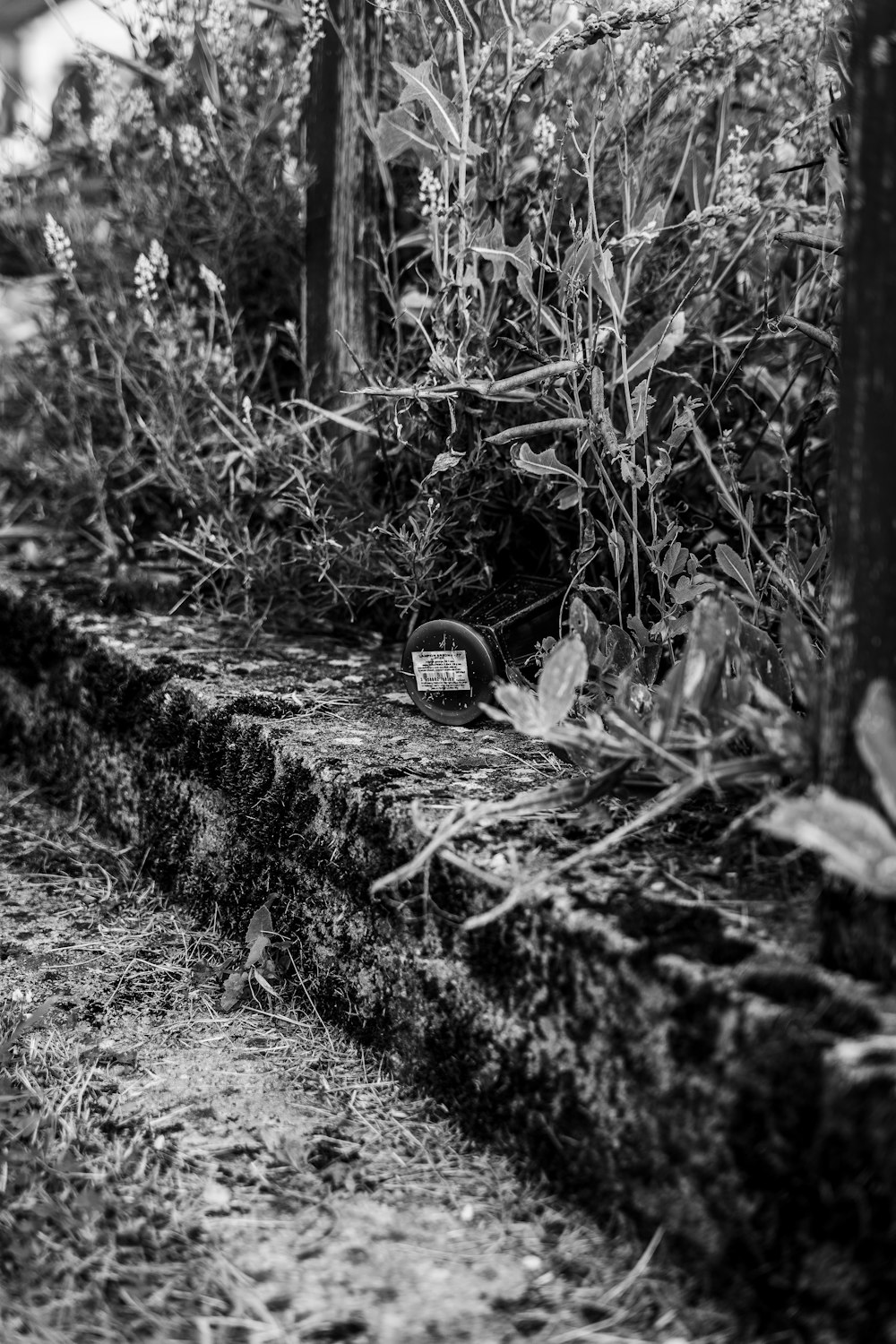 grayscale photo of bicycle wheel on the ground