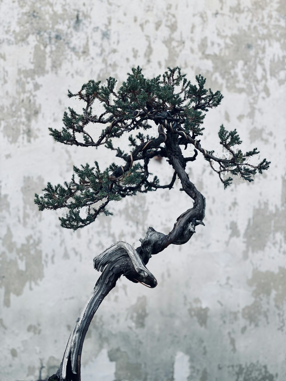 black and white tree figurine