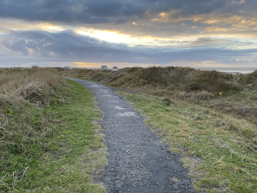 gray dirt road between green grass field under blue sky during daytime