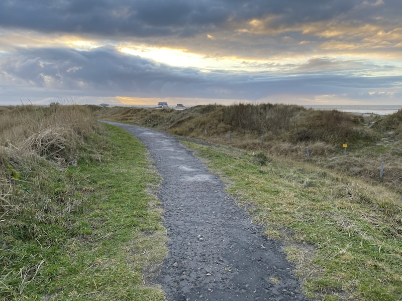 Pathways