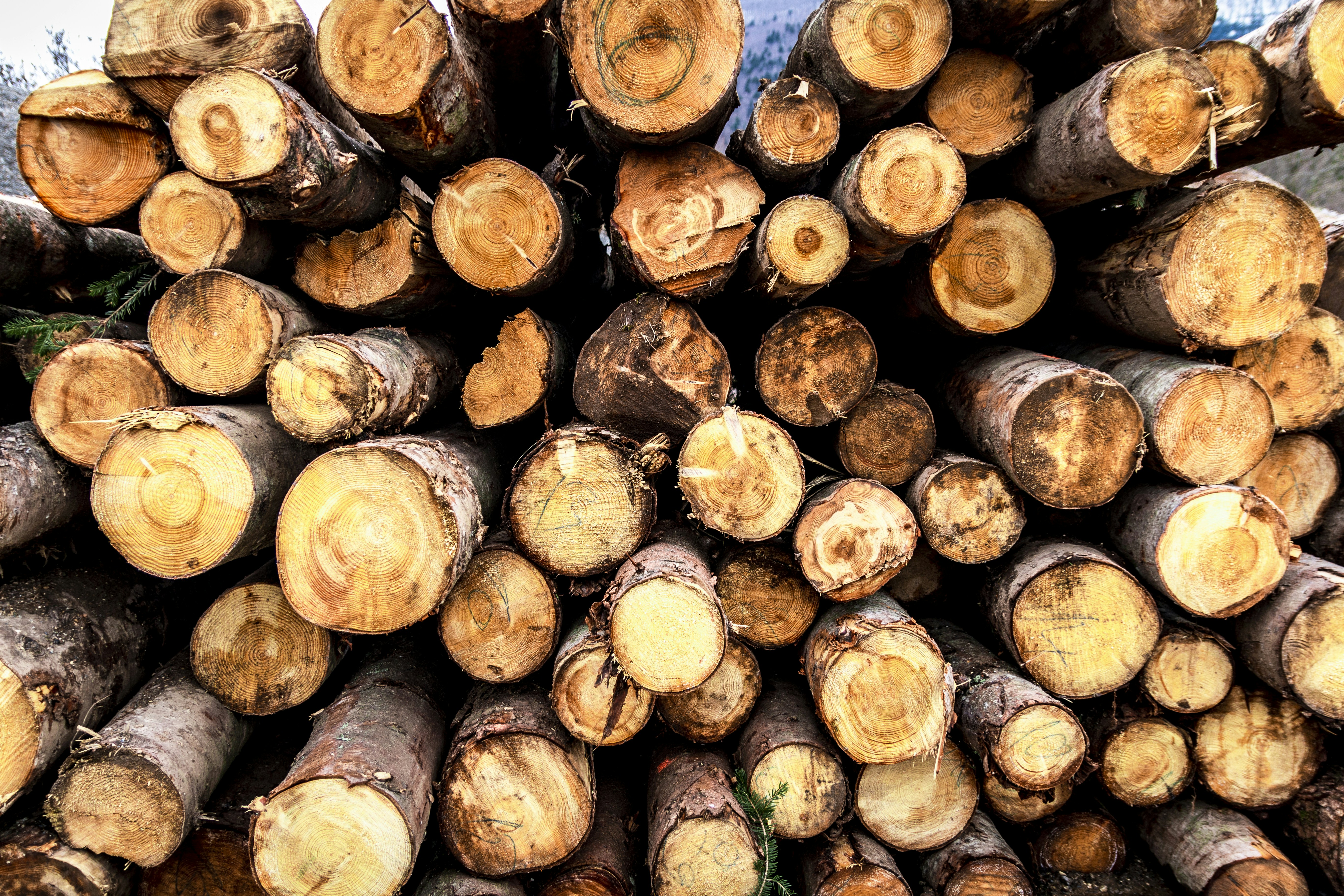 Photo by antesamarzija