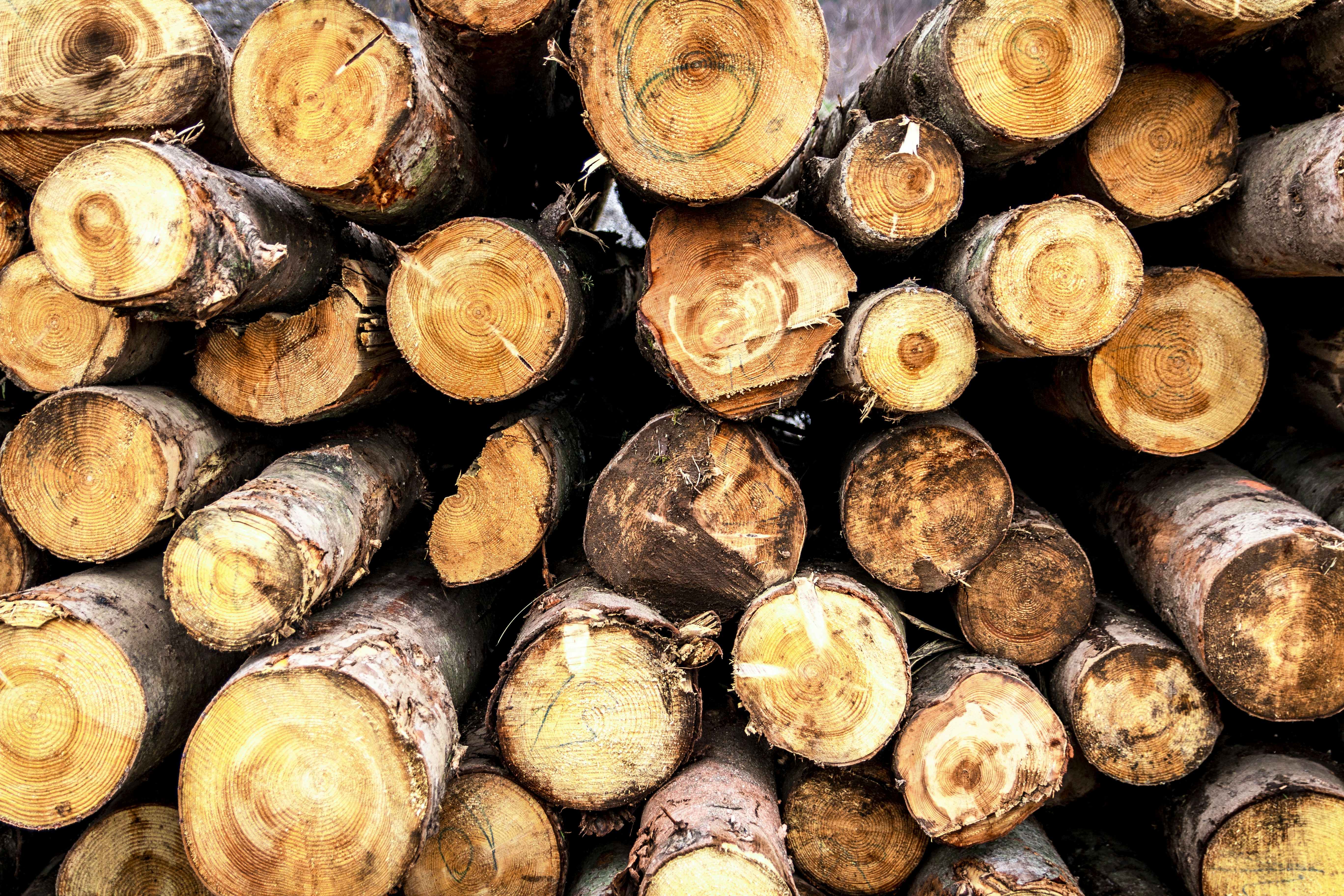 Photo by antesamarzija