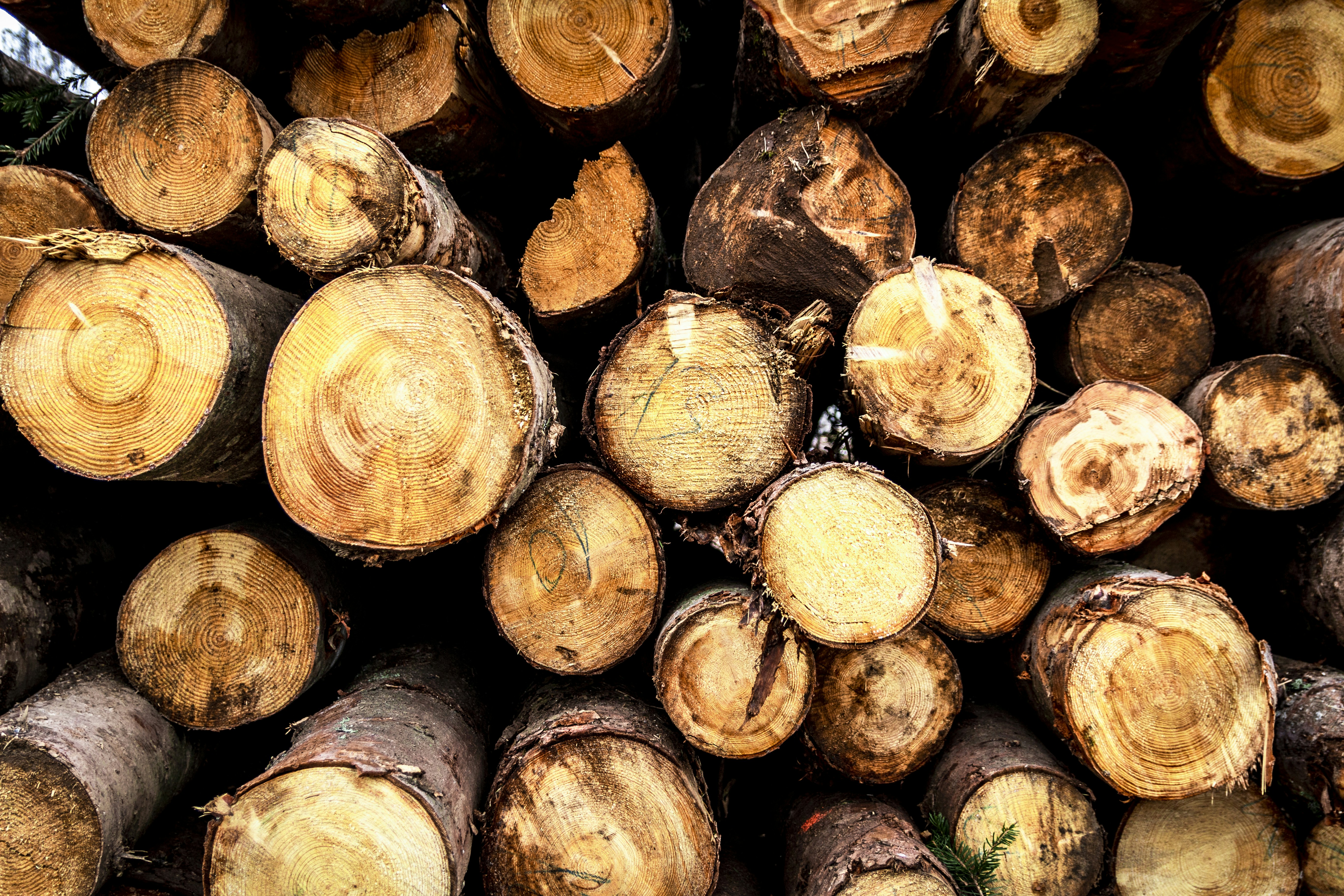 Photo by antesamarzija