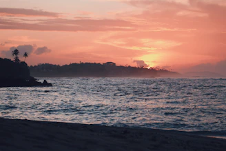 Sunset view over a serene beach in Mallorca with gentle waves and palm trees.