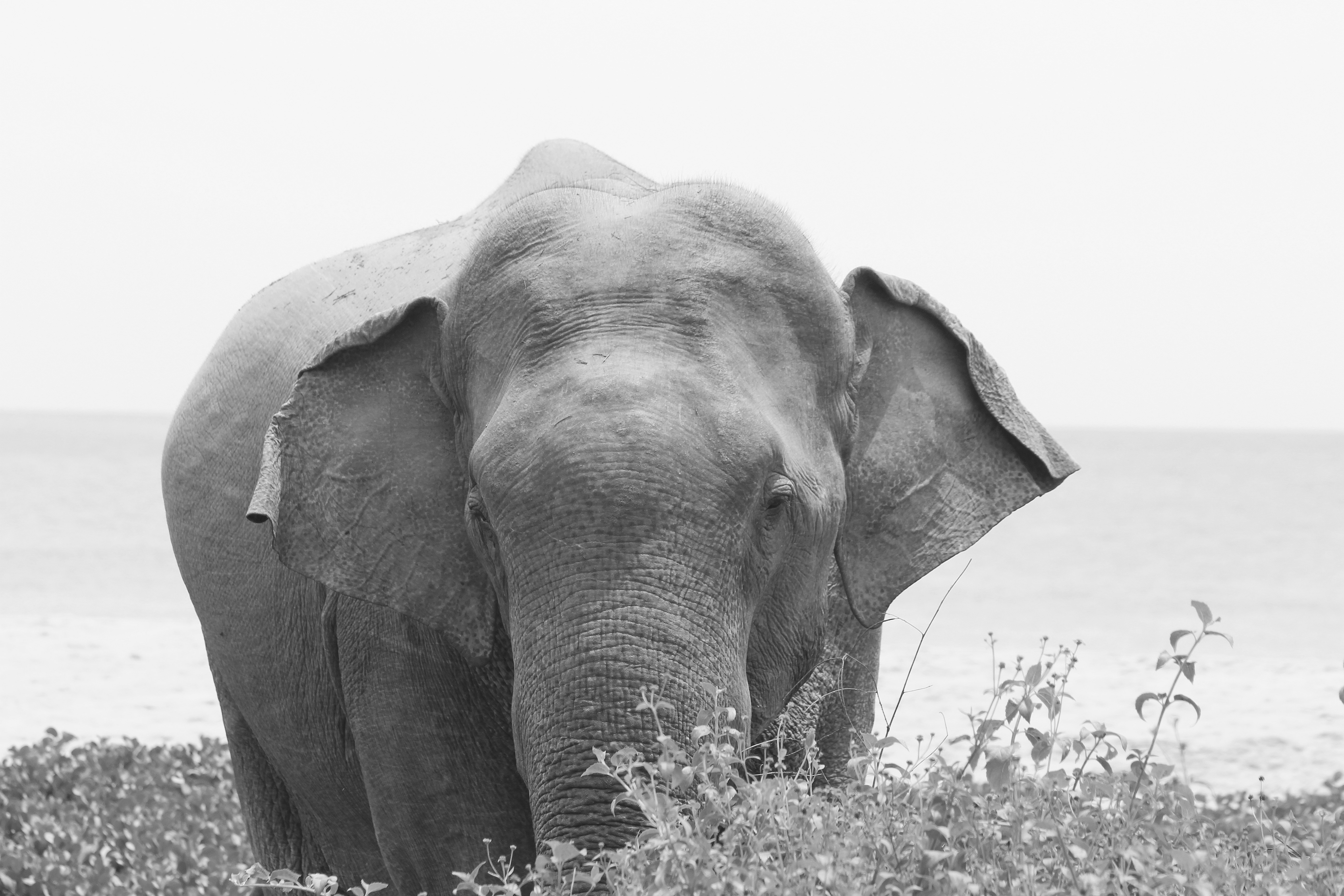 Photo by almaylinda_luz