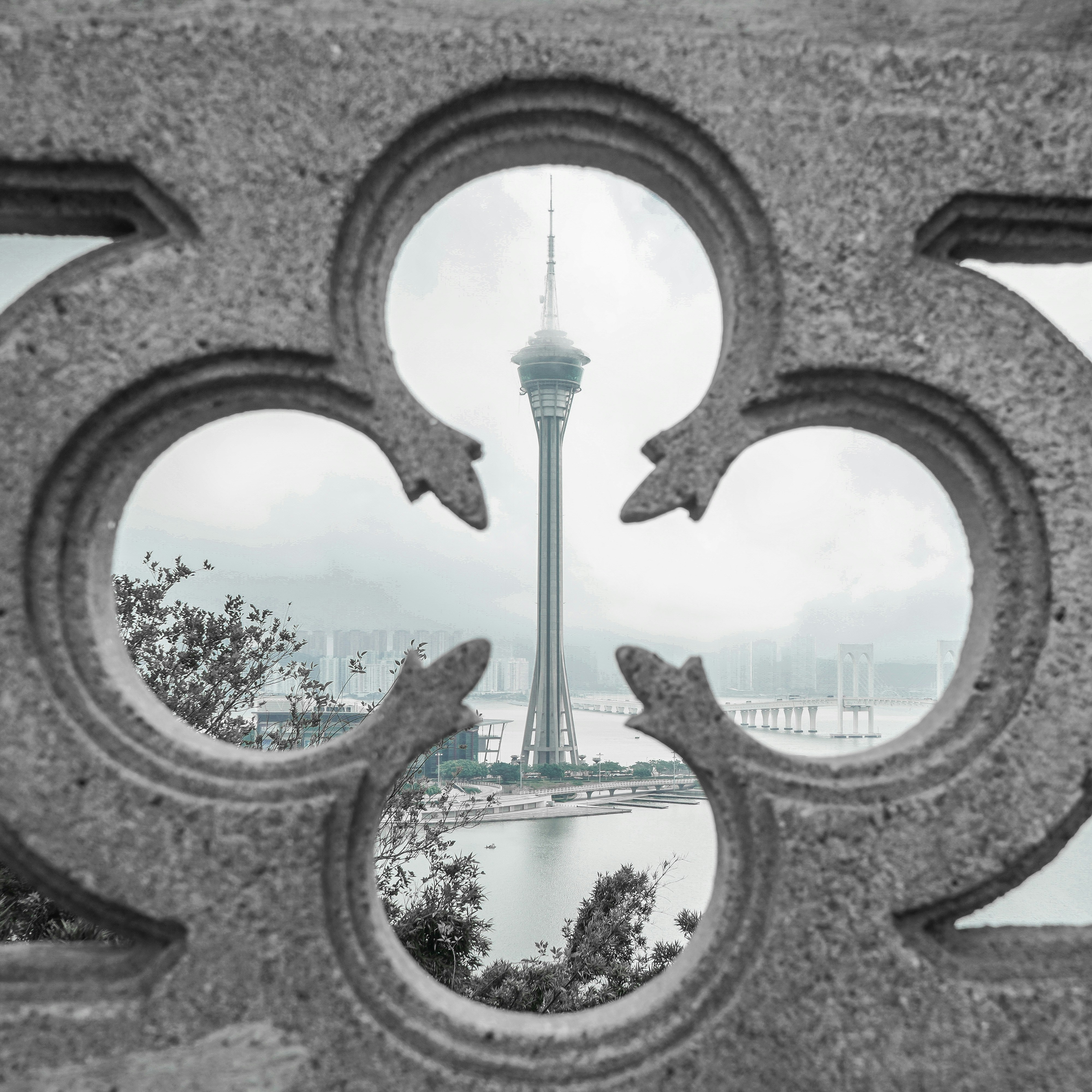 moldura floral preta e branca