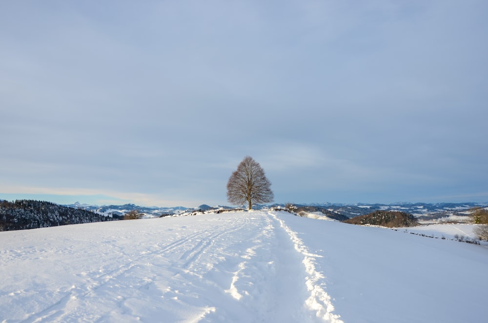 snow covered field under cloudy sky during daytime