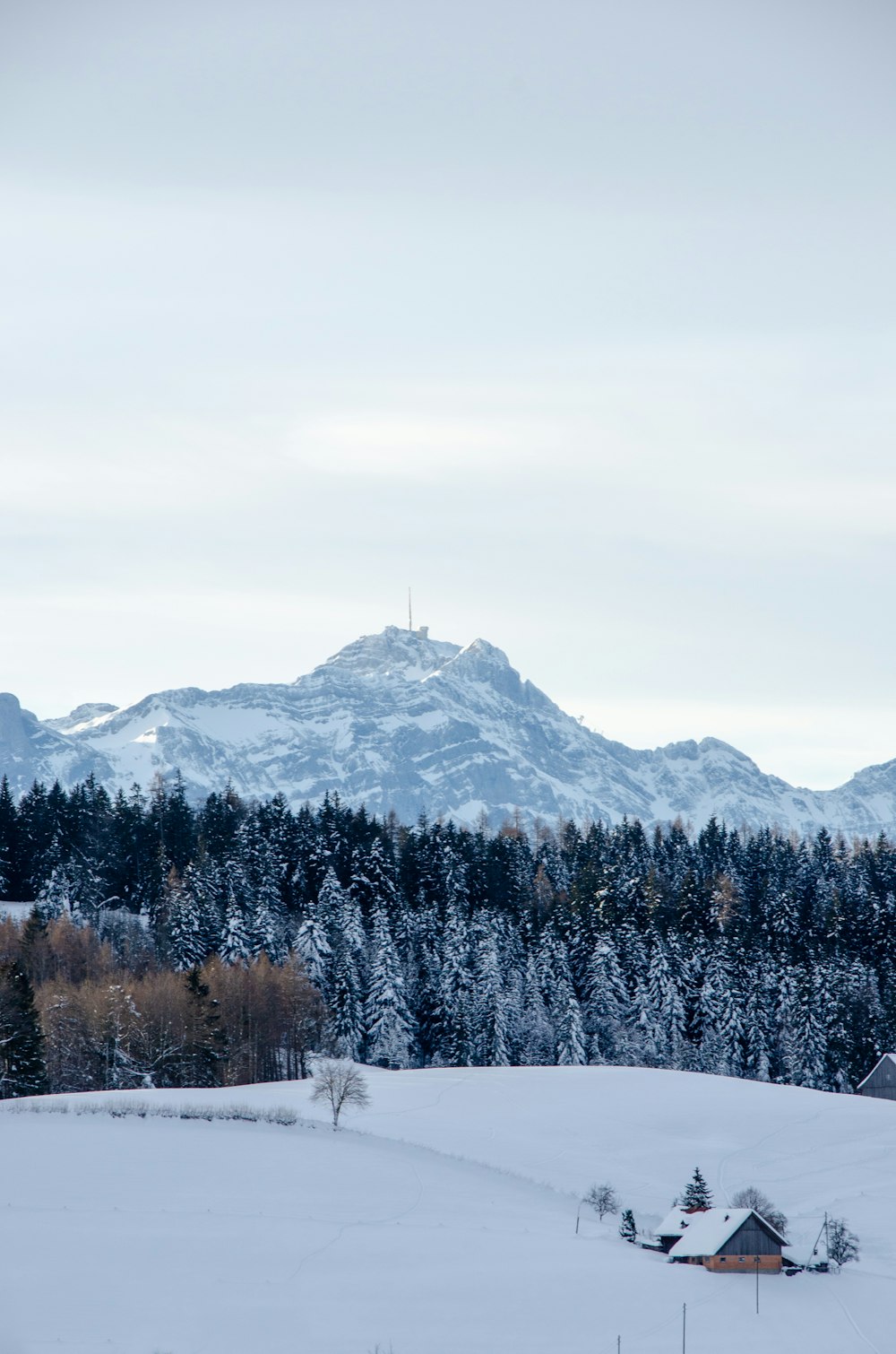 snow covered mountain during daytime