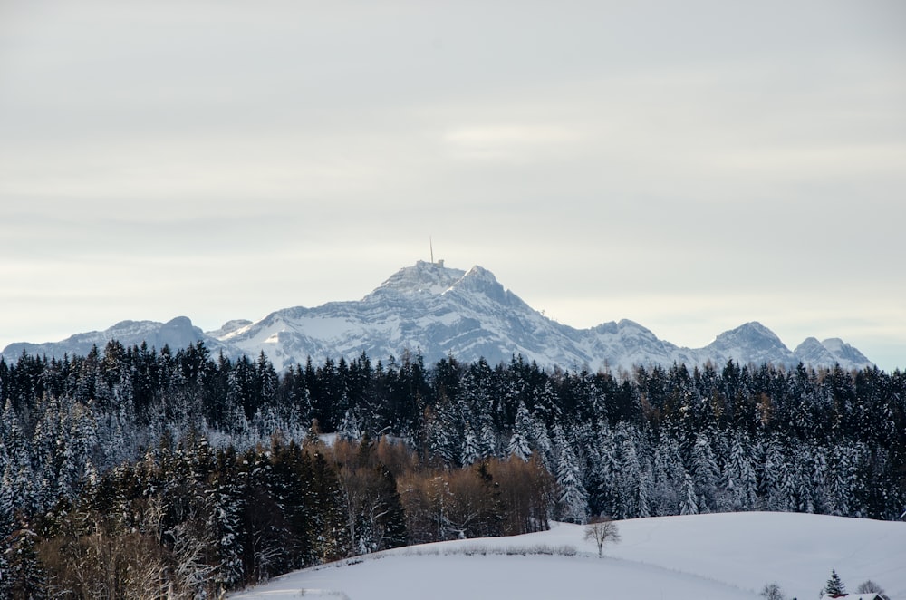 snow covered mountain during daytime